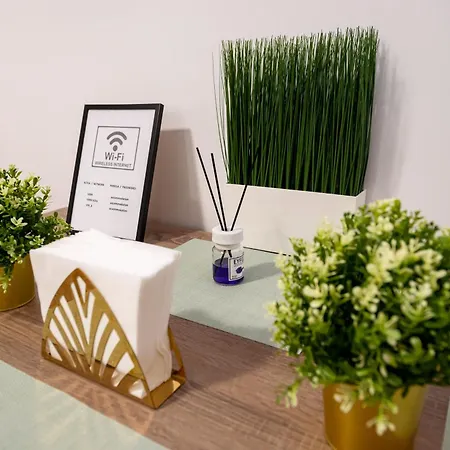 Ideal Old Centre Apartment